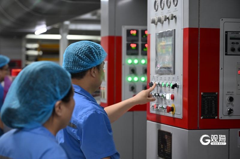 ：做足宠物用品“面子工程”产能产值双破亿pg电子首页智观“它经济”①｜方大包装(图1)