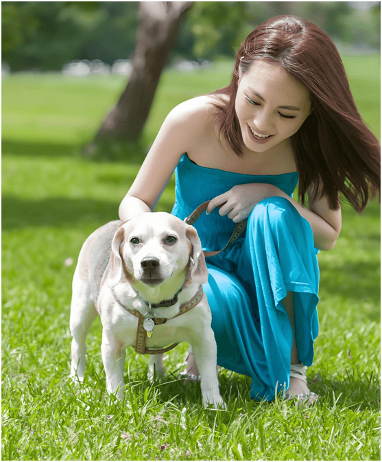 链分析：现状、痛点、需求、趋势pg模拟器试玩宠物食品行业产业(图2)