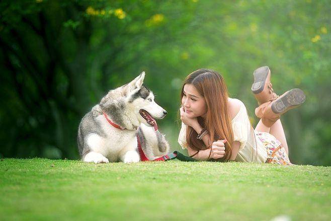 链分析：现状、痛点、需求、趋势pg模拟器试玩宠物食品行业产业(图3)