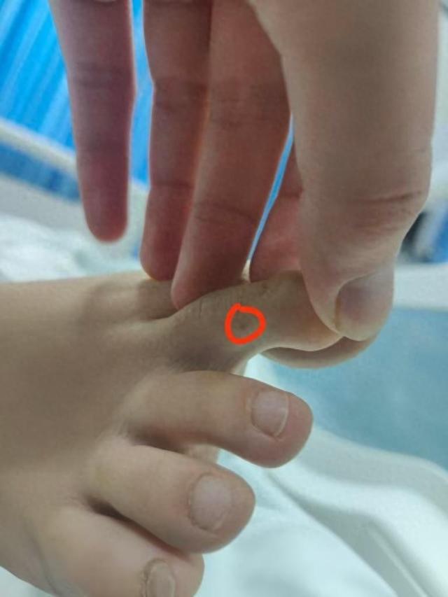 回应质疑：没提任何索赔只希望调查清楚电子pg游戏三亚身亡女游客堂姐直播(图2)